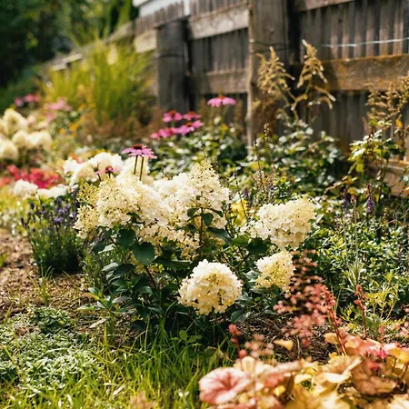 Lägenhet Ferienresidenz Raich - Mit Sky Wellness Und Garten